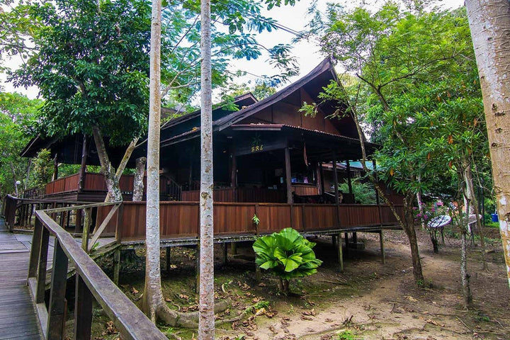 Bilit Rainforest Lodge