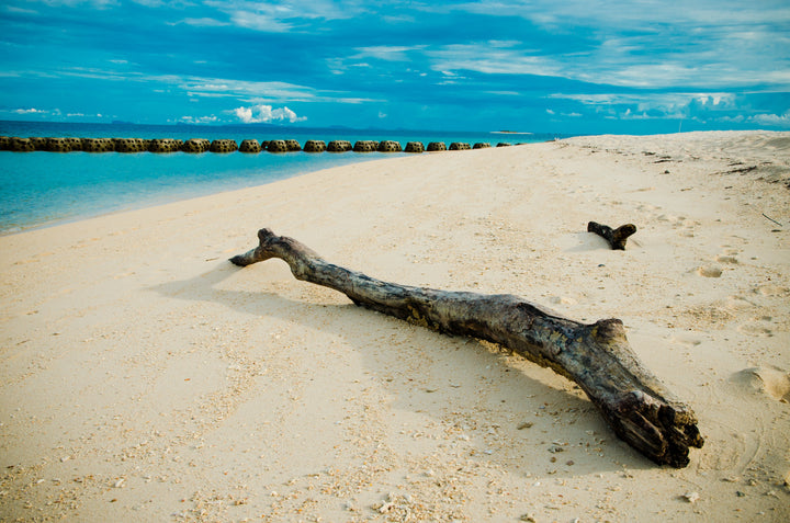 Combo Packages (With Selingan Turtle Island)