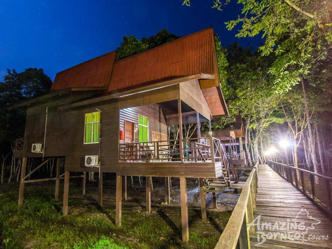 5D4N Selingan Turtle Island & Bilit Rainforest Lodge