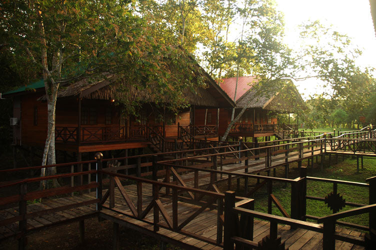 4D3N Bilit Rainforest Lodge - Sepilok Orangutan / Kinabatangan River / Gomantong Cave / Sandakan