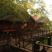 2D1N Bilit Rainforest Lodge - Sepilok Orangutan / Kinabatangan River / Gomantong Cave / Sandakan