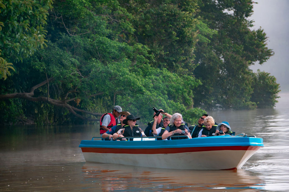 3D2N Bilit Rainforest Lodge - Sepilok Orangutan / Kinabatangan River / Gomantong Cave / Sandakan