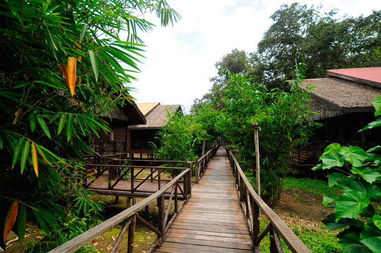 4D3N Bilit Rainforest Lodge - Sepilok Orangutan / Kinabatangan River / Gomantong Cave / Sandakan