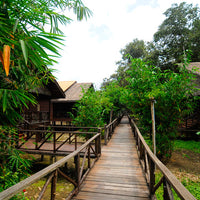 4D3N Bilit Rainforest Lodge - Sepilok Orangutan / Kinabatangan River / Gomantong Cave / Sandakan