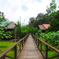 2D1N Bilit Rainforest Lodge - Sepilok Orangutan / Kinabatangan River / Gomantong Cave / Sandakan